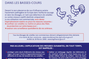 INFLUENZA AVIAIRE