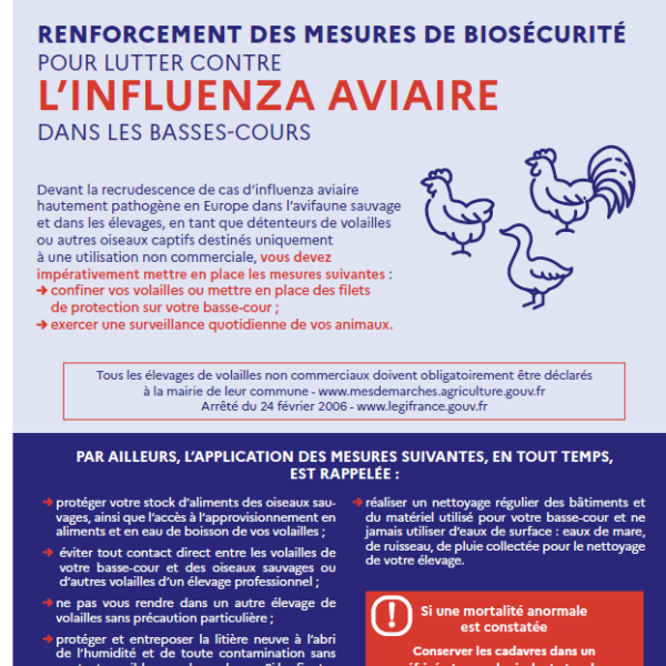 INFLUENZA AVIAIRE