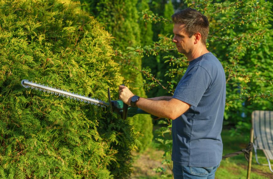 Élagage à proximité des lignes électriques