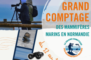 Grand Comptage des Mammifères Marins