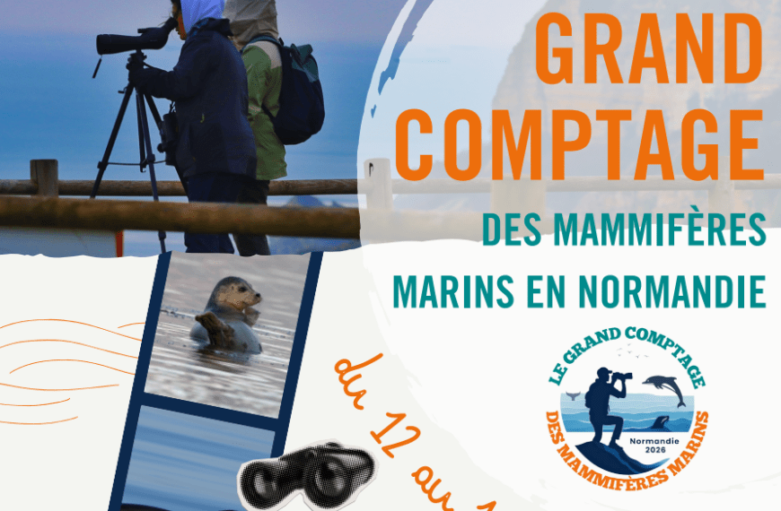 Grand Comptage des Mammifères Marins